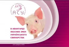 Асоціація "Свинарі України" розповіла про нові ринки збуту