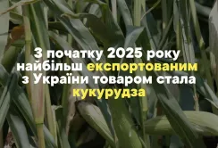 За січень-лютий 2025 року найбільш експортованим з України товаром стала кукурудза