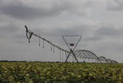 Зміни клімату призведуть до необхідності зрошувати в Україні 18 млн га — оцінка науковців