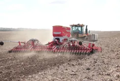 Ярими зерновими й зернобобовими засіяно 250 тис. га — 4% від прогнозу