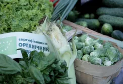 Німці поділяться досвідом органічного землеробства