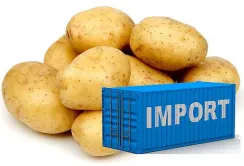 Україна почала імпортувати картоплю з Польщі, Литви та Латвії