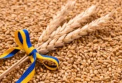 ЄС обмежив імпорт сільгосппродукції з України