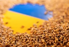 Три країни ЄС продовжили заборону на імпорт зерна з України