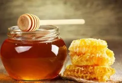 FAO запустить програму з бджільництва в двох регіонах