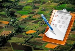 Кабмін затвердив зміни по проведенню інвентаризації земель