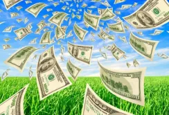 Чотири варіанти інвестицій в агросектор