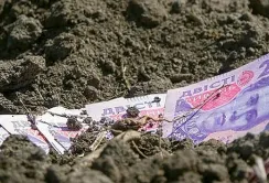 З початку повномасштабного вторгнення в купівлю сільськогосподарської землі інвестували 9,5 млрд грн