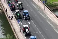Іспанські фермери вимагають від влади дати їм воду