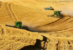 Кабмін оприлюднив стратегію земельної реформи
