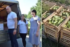 На Чигиринщині вирощують овочі для ЗСУ