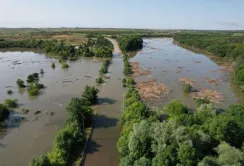 Через затоплення Україна може недорахуватись декількох мільйонів тонн врожаю