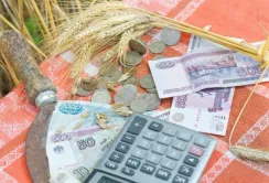 Капіталовкладення в АПК в 2016 році не перевищили показник 2008-го, - експерт