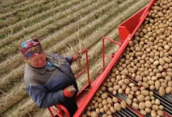 На Миколаївщини аграріїв навчають, як вести плодоовочевий бізнес