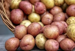 Картопля на Шуварі коштує на 170% дорожче ніж минулого року