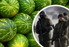 Гривня за кілограм — ціна кавуна в окупації