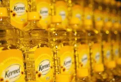 Kernel має намір у 2,5 рази збільшити обсяги поглибленої переробки олії