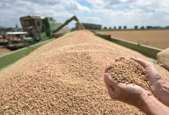 Україна стала членом Кернської групи
