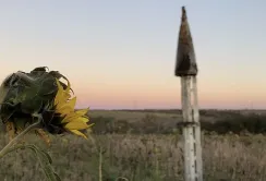 Після повномасштабного вторгнення кількість агропідприємств на Донеччині скоротилось вдвічі