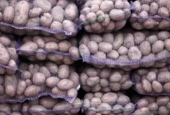 На Кіровоградщині падають ціни на картоплю
