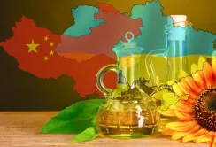 Українські виробники олійних упустили китайський ринок