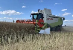 На Київщині зібрали понад 5 млн тонн врожаю