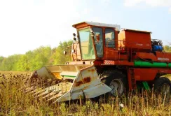 На Запоріжжі рейдери забрали врожай соняшнику