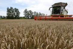 У проблемах європейських фермерів винна не Україна, – Микола Сольський