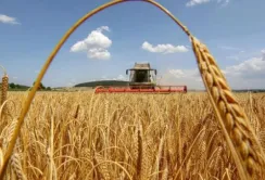 Відтепер з деокупованих територій можна вивозити власну агропродукцію без дозволів