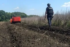 Оператори розмінували понад 1100 гектарів аграрних земель