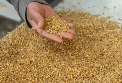 Україна пропонує компенсувати доставку агропродукції в далекі порти