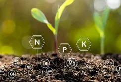 На Дніпропетровщині розпочали виробляти комплексні добрива