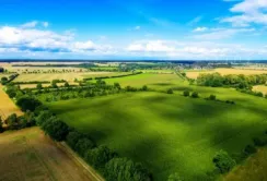 Рівненська прокуратура виявила 37 земельних ділянок, що належать громадянам росії та білорусі