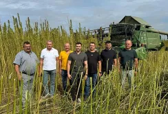 Аграрії все частіше вирощують коноплі в промислових цілях