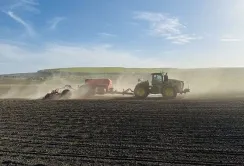 Контінентал закінчив посадку картоплі та сівбу ярих культур