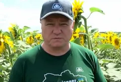 Три причини, чому фермерам варто обирати соняшник