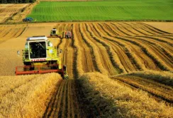 ВРУ пропонує перейти на єдину форму для сільгоспкооперативів