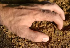 Уряд підтримав спрощення правил користування державними сільгоспземлями