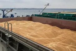 Окупанти відкрито заявляють про кількість вкраденого в Україні зерна