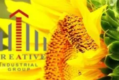 Майно "Креативу" почнуть розпродавати в березні