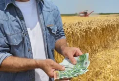 Не Доступними кредитами єдиними: які банки ще кредитують аграріїв