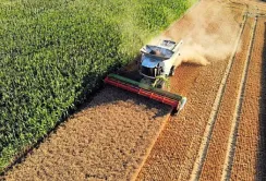 Доступні кредити: з початку року профінансовано 2936 агропідприємств