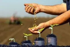 Кредитування агровиробників: лідирує Київщина