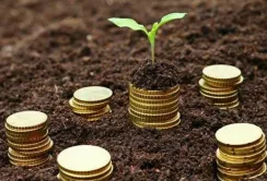 За різними програмами в цьому році аграрії отримали понад 45 млрд грн банківських кредитів