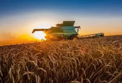 Нові критерії для визначення важливих сільськогосподарських підприємств