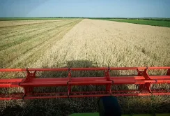 Мінагрополітики оновило критерії визначення критично важливих агропідприємств