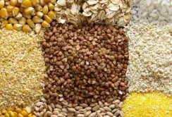 Найбільший виклик на світовому ринку - залишки сільгосппродукції
