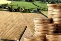 Активно купувати землю юридичні особи почнуть через пів року