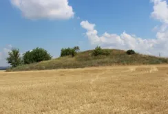 На Нікопольщині трактористу «світить» строк за пошкодження об’єктів культурної спадщини