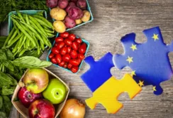 На безмитних квотах ЄС заробляють насамперед великі виробники
